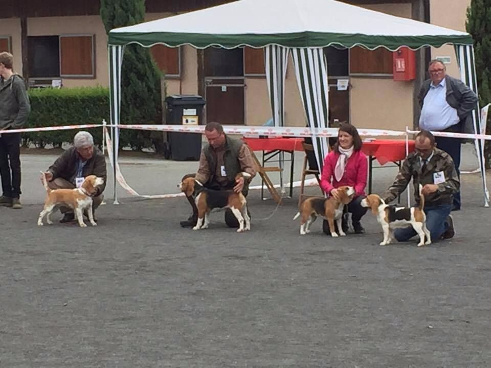 Des Chasseurs Du Temps - Nationale d' Elevage 2017