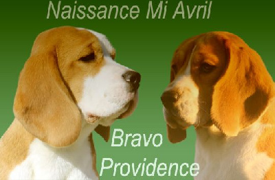 CHIOT